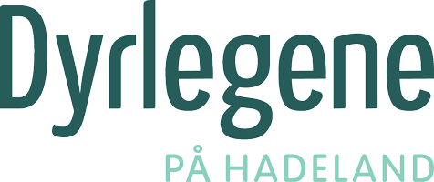 Dyrlegene på Hadeland AS