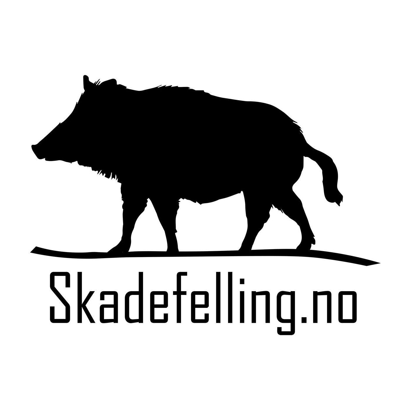 Skadefelling.No
