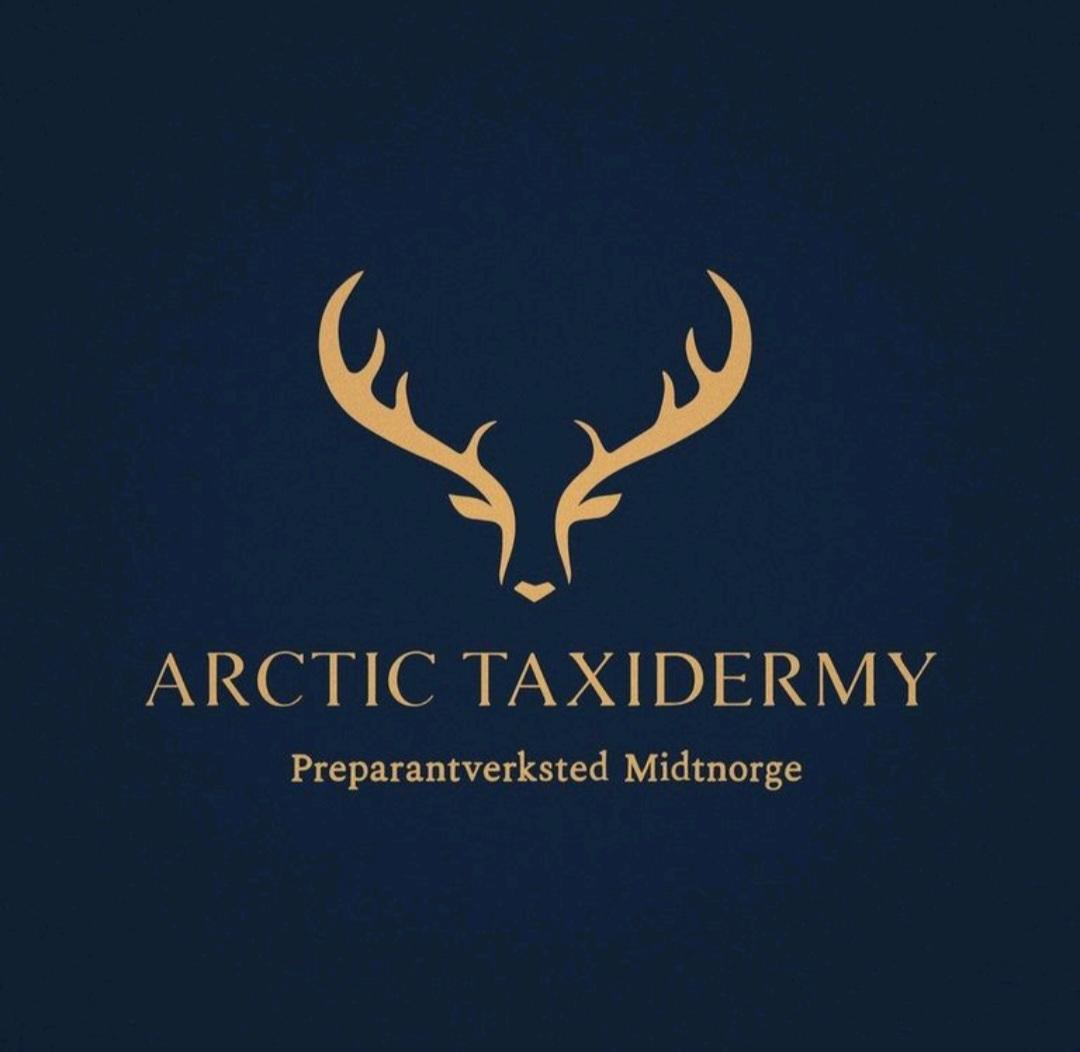 Arctic Taxidermy Preparantverksted