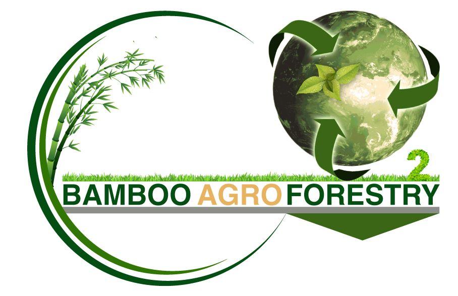 Bamboo Agro Forestry AS