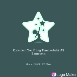 KONSULENT TOR ERLING TØMMERBAKK AS