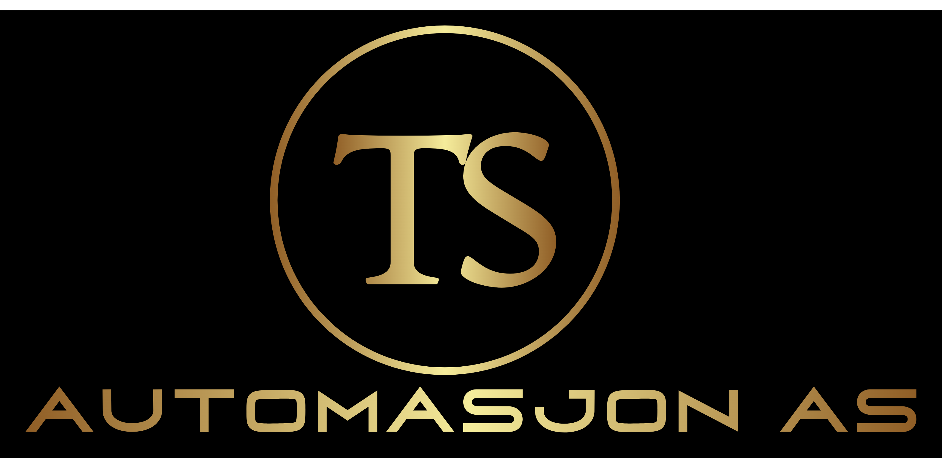TS AUTOMASJON AS