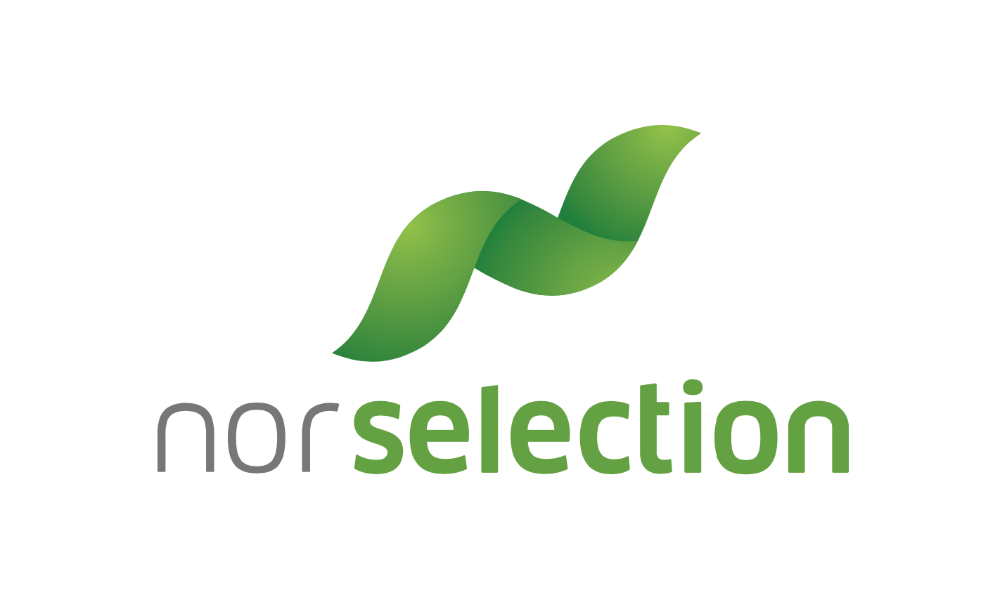 NOR Selection Rekruttering AS