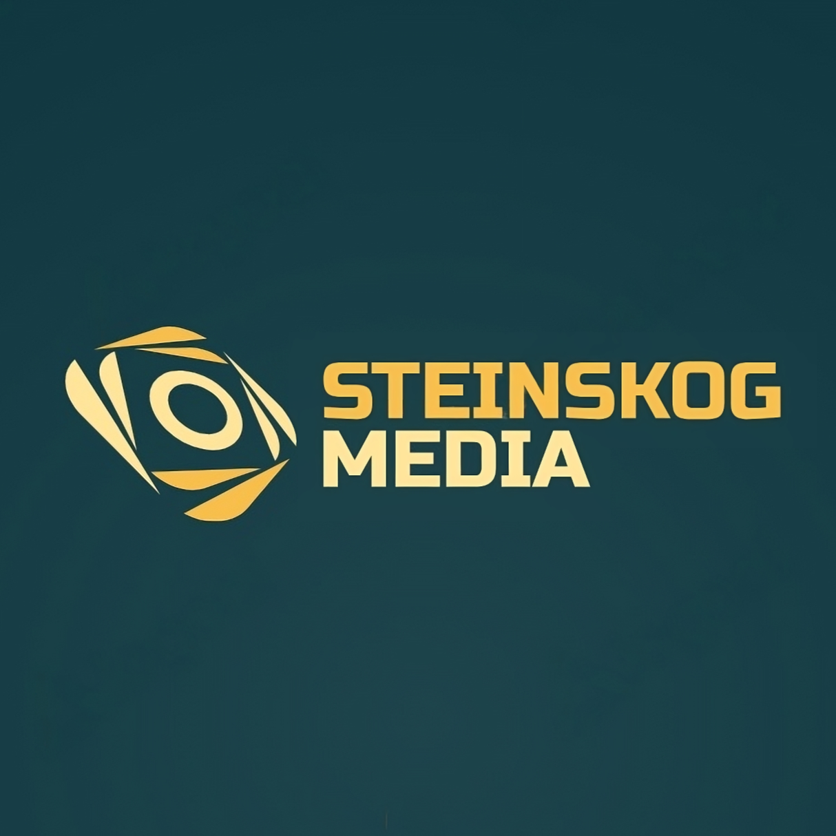Steinskog Media
