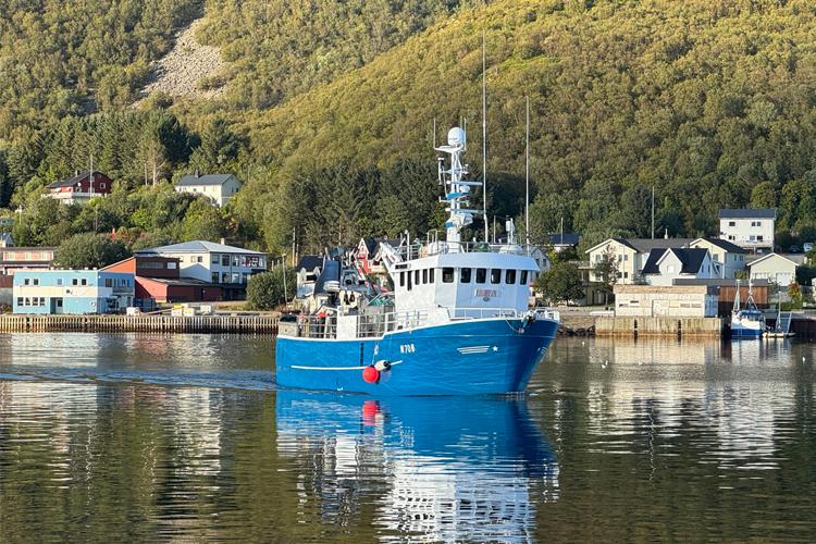 En blå fiskebåt seiler inn i havnen med fjell i bakgrunnen og speilbilde i vannet.