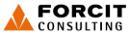 Forcit Consulting AS