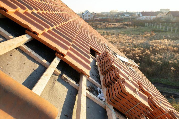 Tak med teglstein og synlige takbjelker, med et landskap av gress og busker i bakgrunnen.