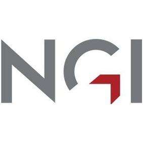 NGI (Norges Geotekniske Institutt)