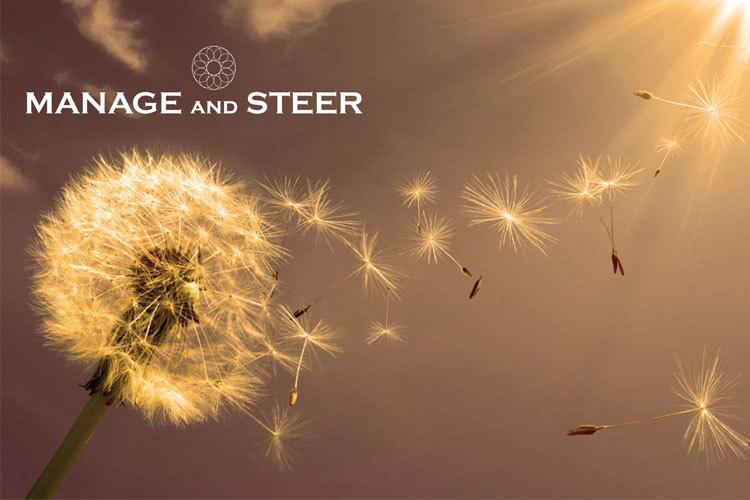 Løvetann med frø som flyr bort i sollys, med teksten "Manage and Steer" i bakgrunnen.