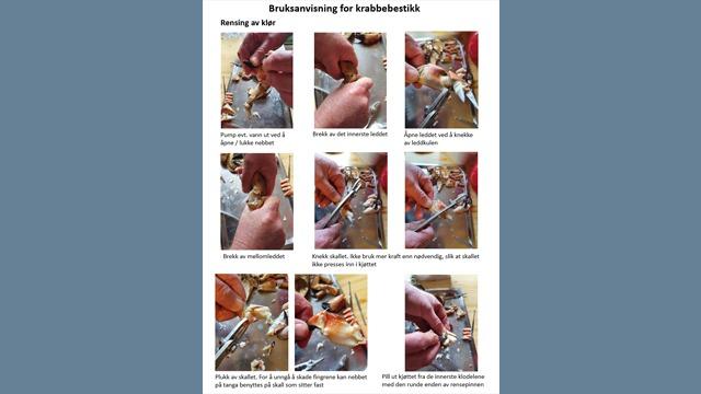 Bilder som viser trinn-for-trinn instruksjoner for å lage en kake med fylling og dekorering.