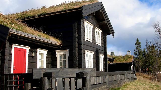 Et svart tømmerhus med gressdekket tak, hvite vinduer og rød dør, omgitt av trær og blå himmel.