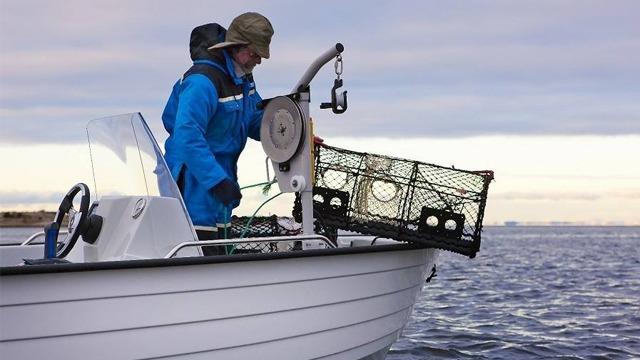 Fisker i blå klær som heiser en krabbe- eller hummerfelle fra en båt på sjøen.