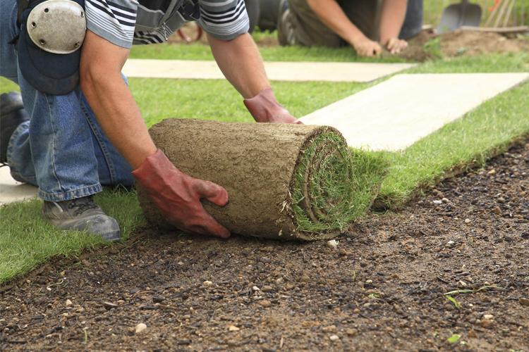 En person legger ut rull med gress på en hage, med fokus på hender og gressrullen.