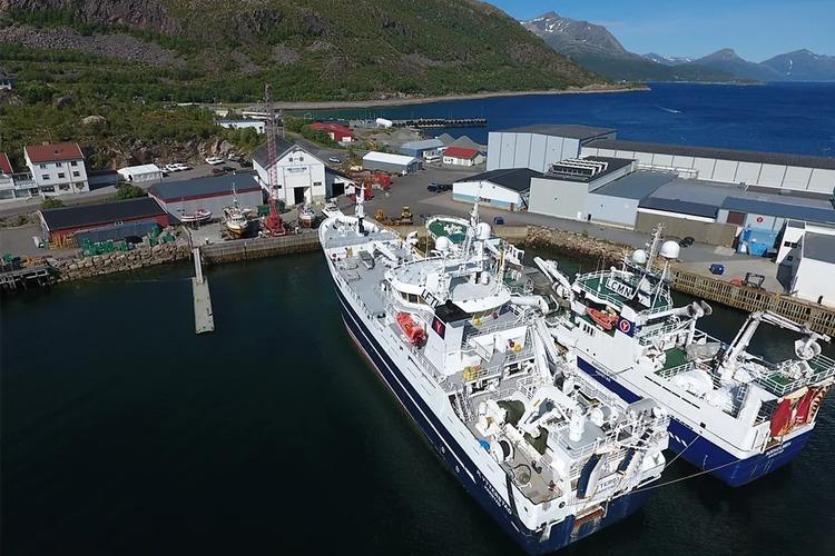 Fiskebåter ligger til kai i en havn med fjell og bygninger i bakgrunnen. Klart vann og solfylt himmel.