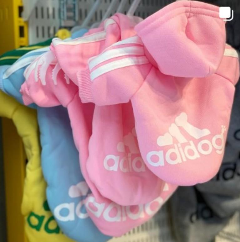 Fargerike hundeklær med hette i rosa, blå, gul og grå, hengende på en kleshenger.