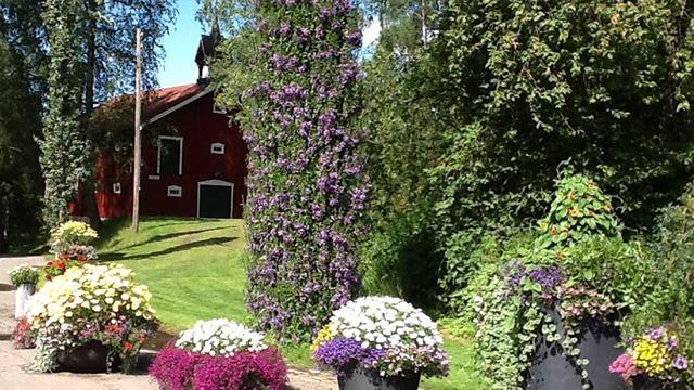 En rød bygning omgitt av frodige blomster i potter og grønne trær i en solfylt hage.