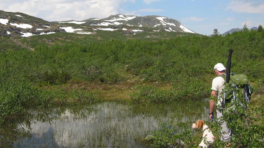 En mann med ryggsekk står ved en liten innsjø i fjellandskap, med en hund ved siden av seg.