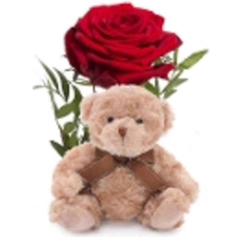 En koselig bamse med en brun sele sitter foran en rød rose med grønne blader.
