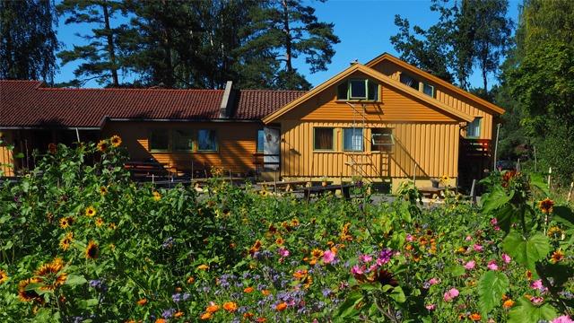 En koselig, gul hytte med terrasse, omgitt av blomster i en hage under klar blå himmel.