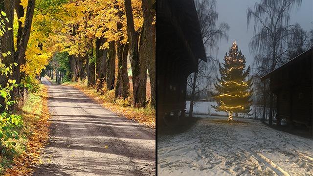 En vei omgitt av høstfargede trær til venstre og en snødekt gårdsplass med et opplyst juletre til høyre.