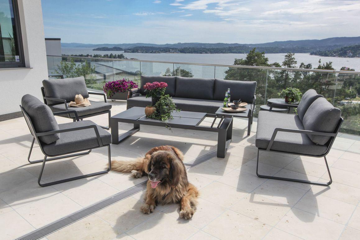 En koselig uteplass med en stor hund, moderne møbler, blomster og utsikt over vannet.