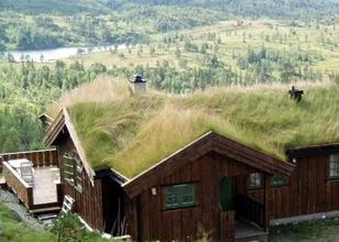 Hus med gressdekket tak i fjellandskap, omringet av grønne trær og en innsjø i bakgrunnen.