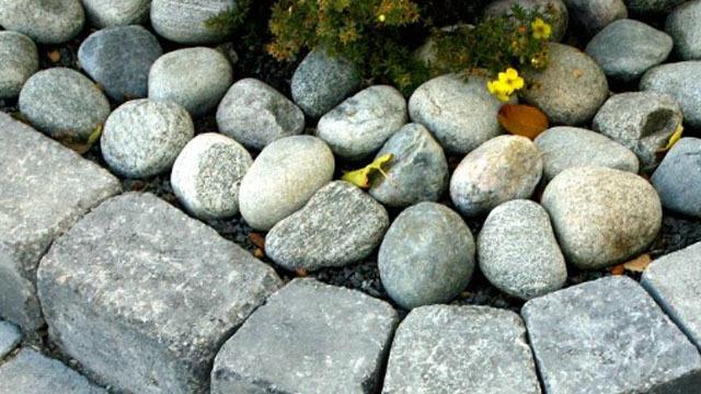 Steiner og brostein i en hage, med gule blomster og grønt buskas mellom steinene.