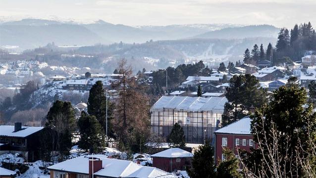 Vinterlandskap med snødekte hus og fjell i bakgrunnen, med trær og en drivhus i sentrum av bildet.