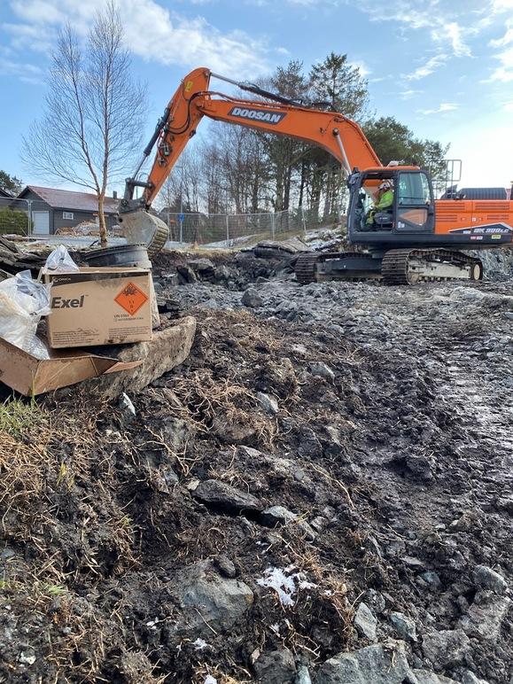 Gravemaskin arbeider på en byggeplass med stein og mudder, med en liten treplante i forgrunnen.