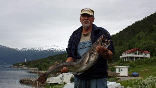 En eldre mann står ved vannet og holder en stor fisk, med fjell og hus i bakgrunnen.