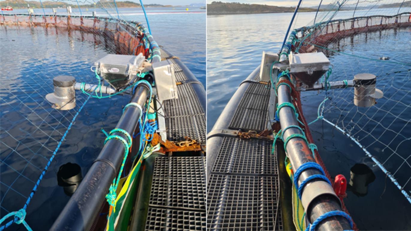 Bilde av en fiskeoppdrettsanlegg med nett og utstyr for overvåking av vannkvalitet i sjøen.