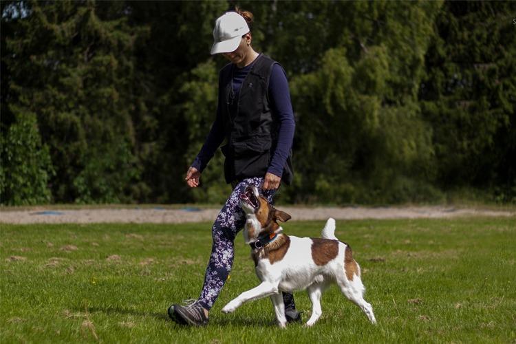 En kvinne går med en hund i en grønn park, iført leggings og caps, med trær i bakgrunnen.