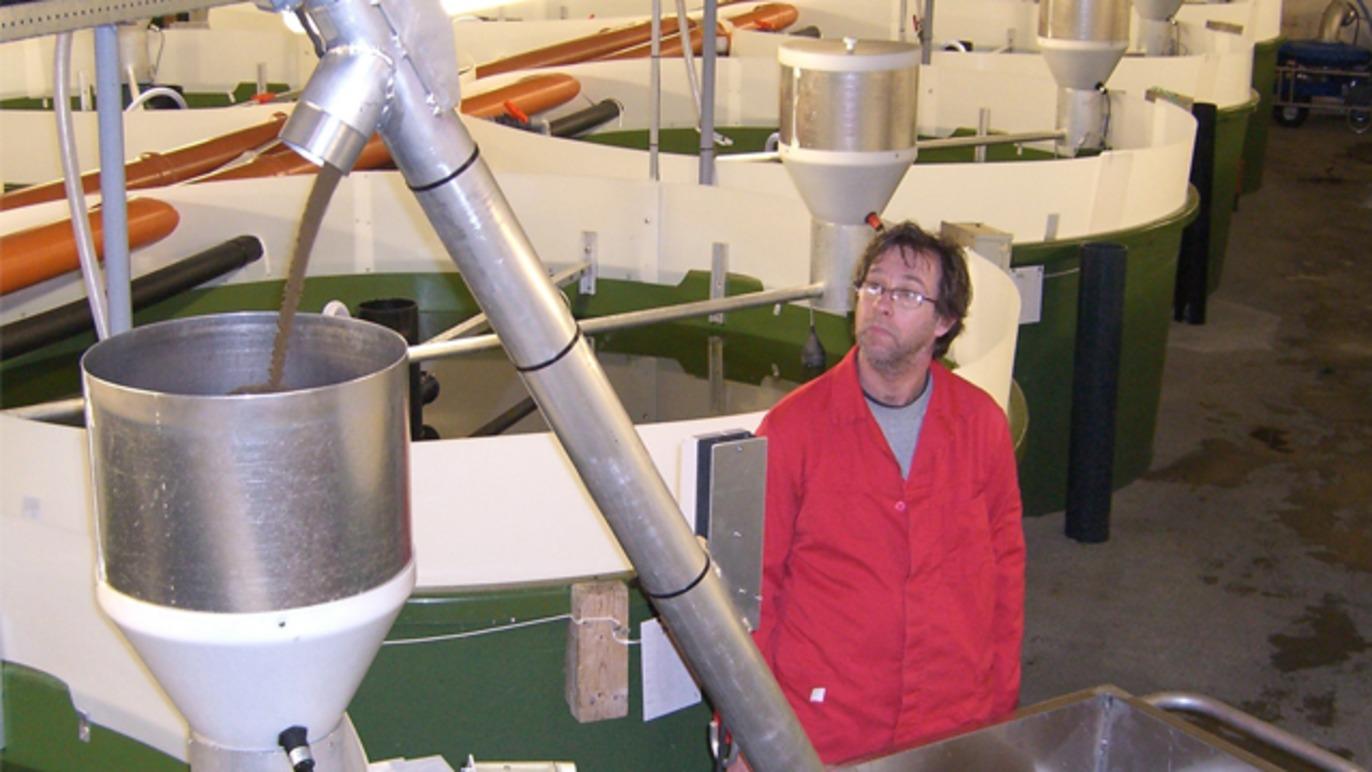 En mann i rød jakke ser opp mot en rørledning som fører væske i en fiskefarm. Bakgrunnen viser flere fisketanker.