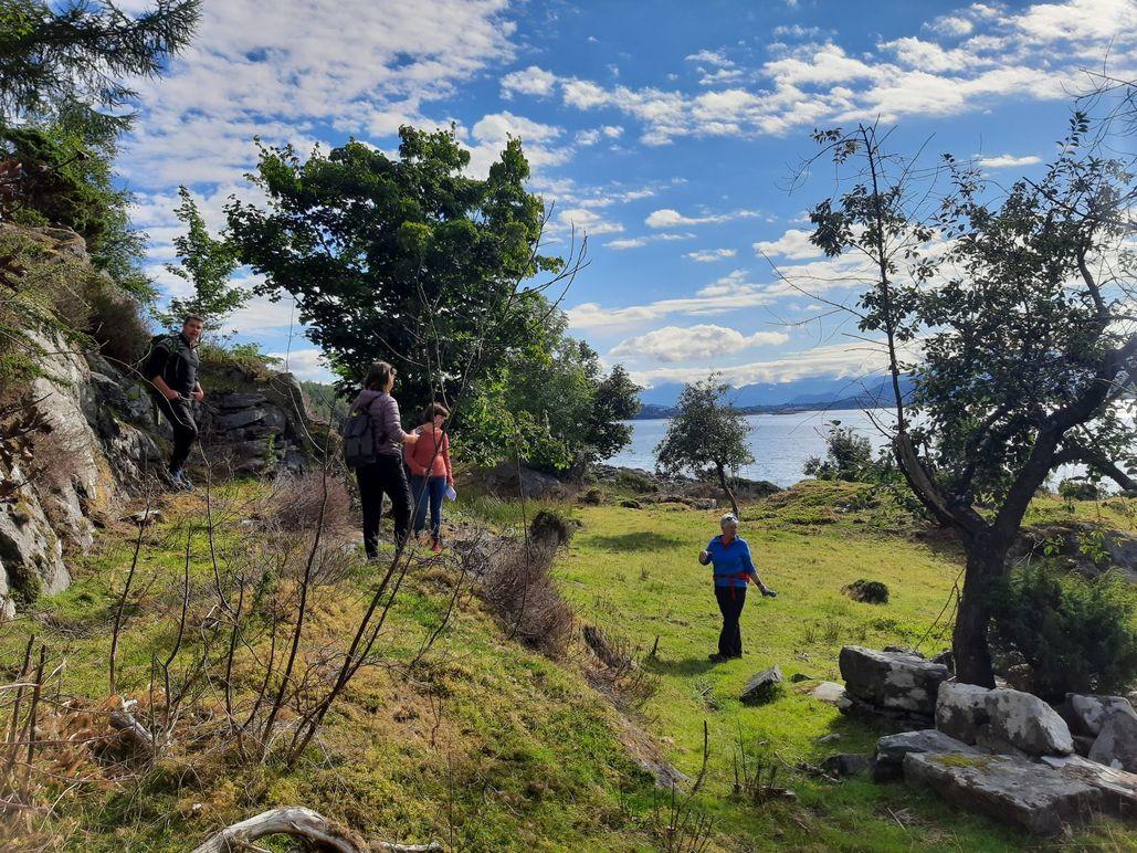 Folk som går på en grønn bakke med trær og utsikt over vannet under en blå himmel.