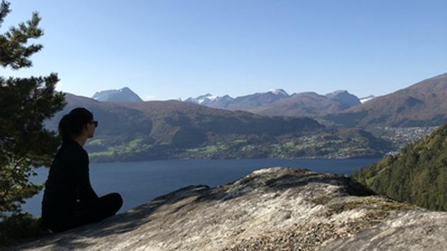 En person sitter på en stein og ser utover en vakker fjord med fjell i bakgrunnen.