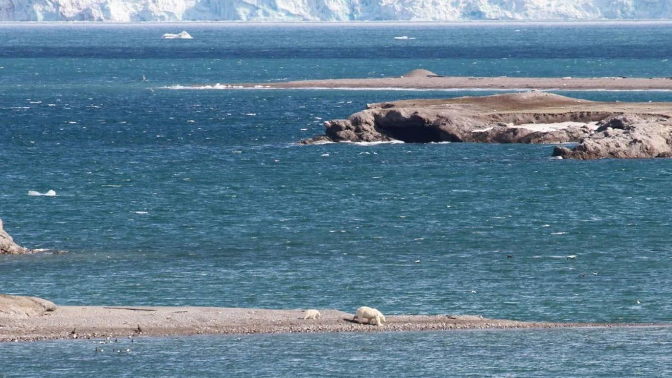 Utsikt over havet med steinete kystlinje og isfjell i bakgrunnen. Klare blåtoner i vannet.