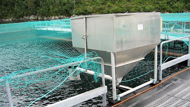 En stor metallbeholder på en fiskeoppdrettsanlegg med nett rundt i vannet.