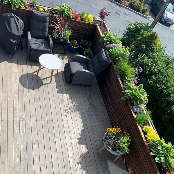 En solfylt terrasse med to stoler, et bord og flere blomsterpotter med grønne planter.