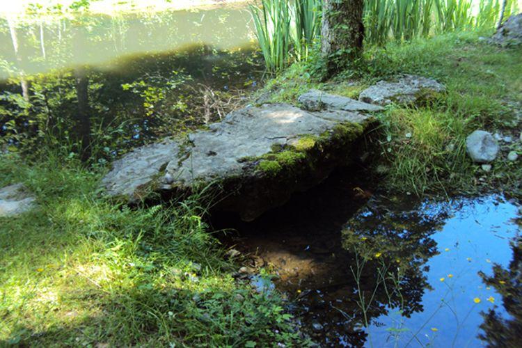 En steinplate ved en stille dam, omkranset av grønt gress og høye planter, med speilbilde i vannet.