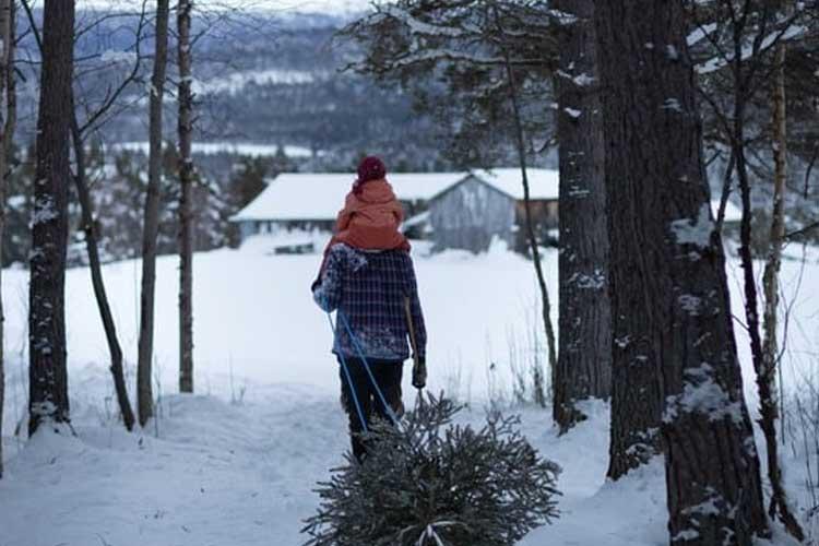 En person går i snøen med et barn på skuldrene og bærer et juletre, med en hytte i bakgrunnen.