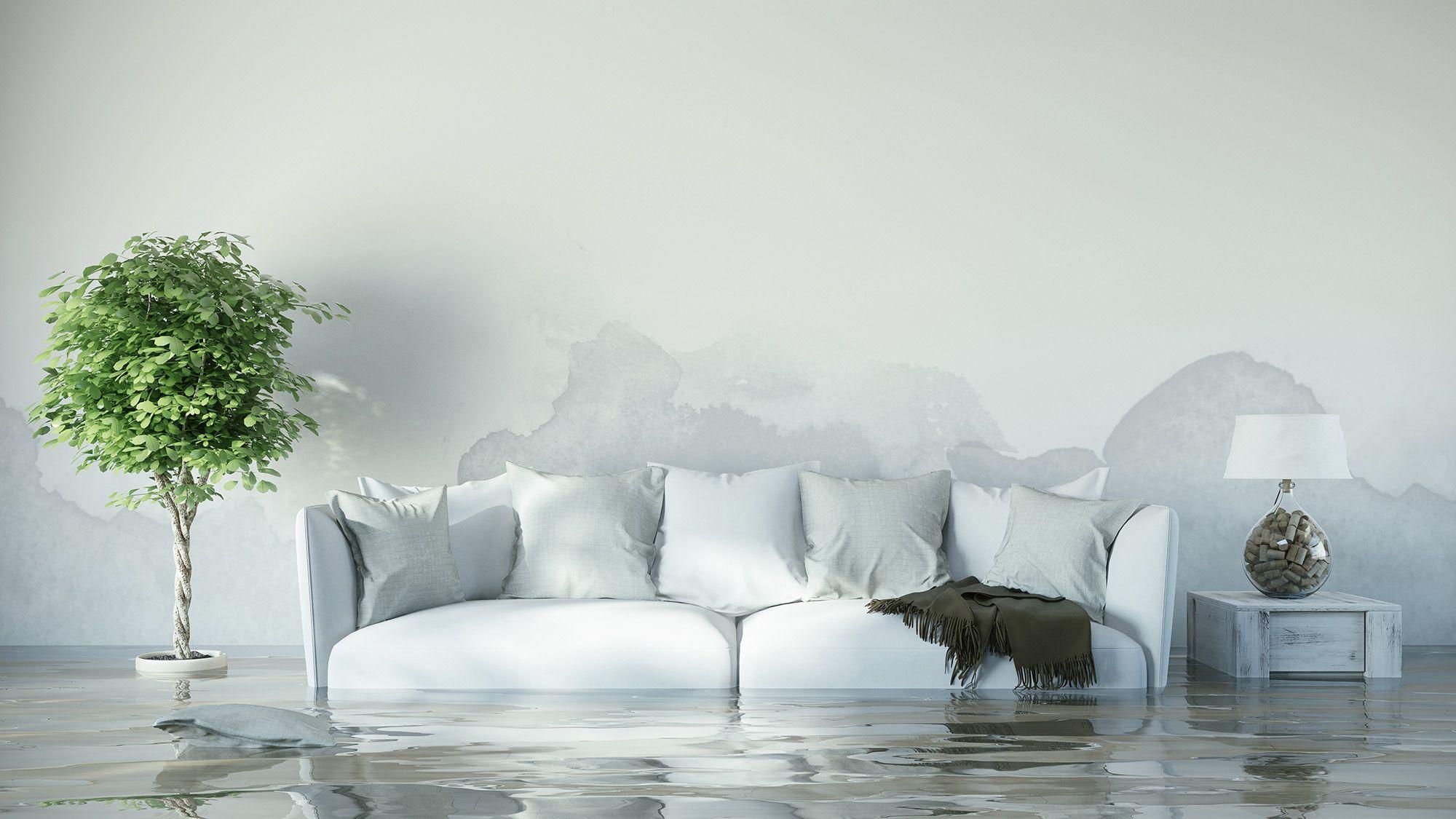En hvit sofa i et rom med oversvømmelse, en grønn plante og en lampe ved siden av.