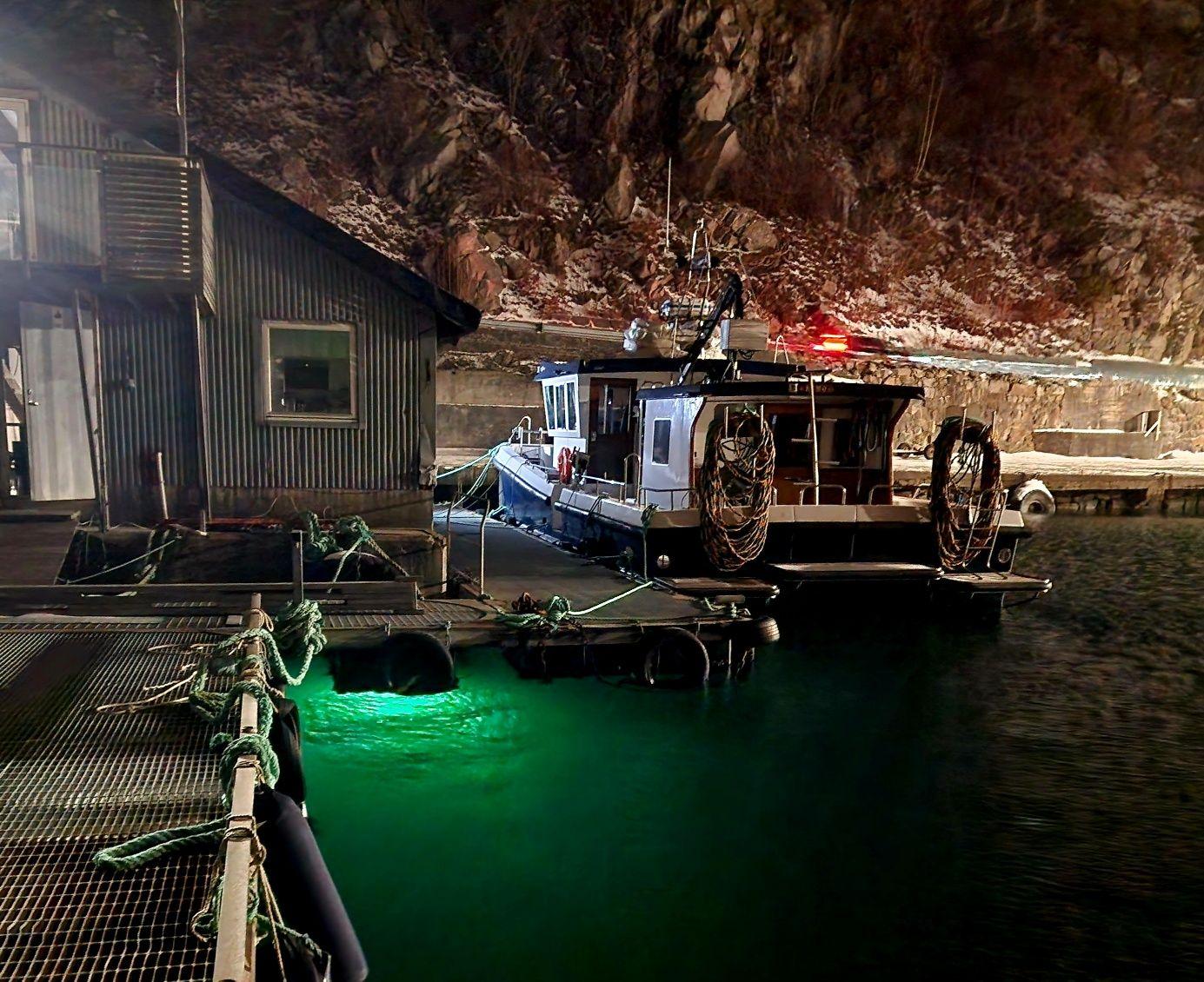 Båt ved en brygge i en hule, med lys som reflekteres i det grønne vannet.
