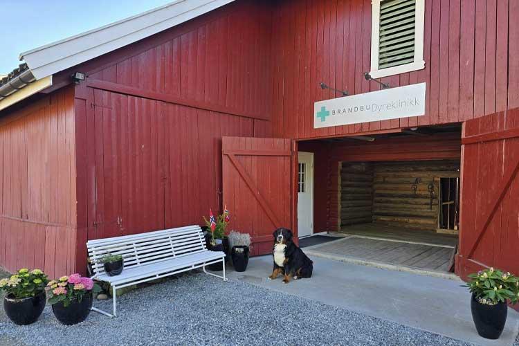 En rød låve med en hund som sitter foran, omgitt av blomsterpotter og en benk.