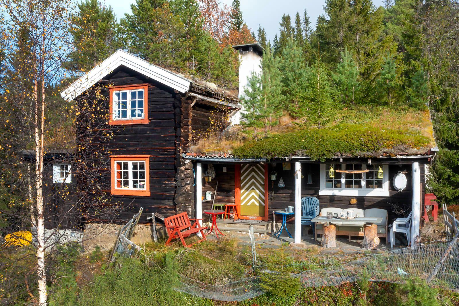 En koselig hytte med torvtak, rødmalte vinduer og utemøbler i en naturskjønn skogsetting.