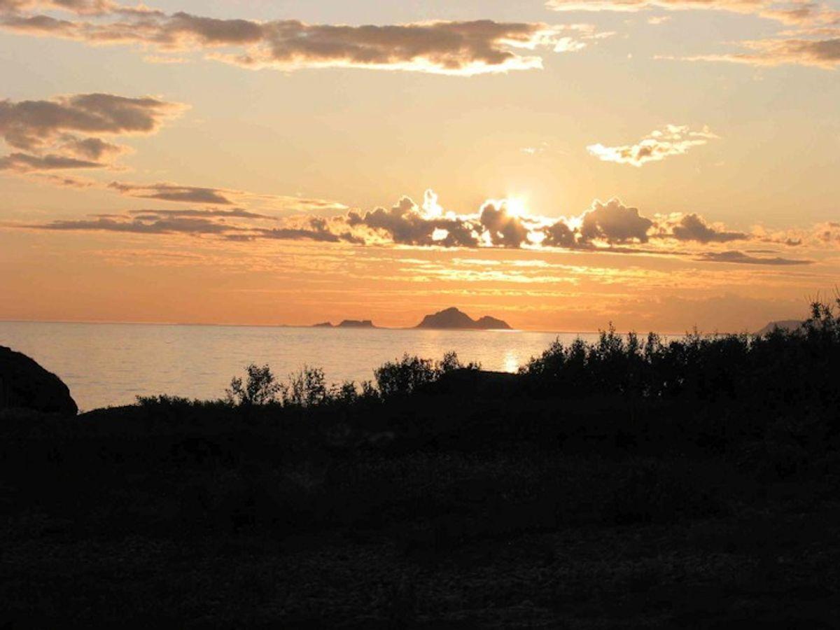 Solnedgang over havet med øyer i bakgrunnen og mørke silhuetter av busker i forgrunnen.