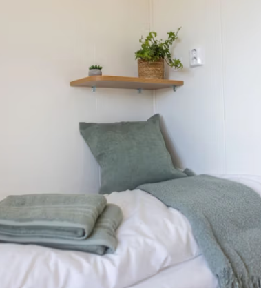 Seng med grønne puter og pledd, samt en hylle med planter på veggen.