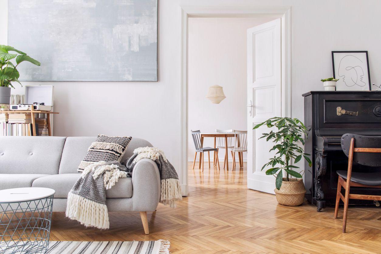 Moderne stue med grå sofa, plante, og spisestue i bakgrunnen med trestoler og bord.