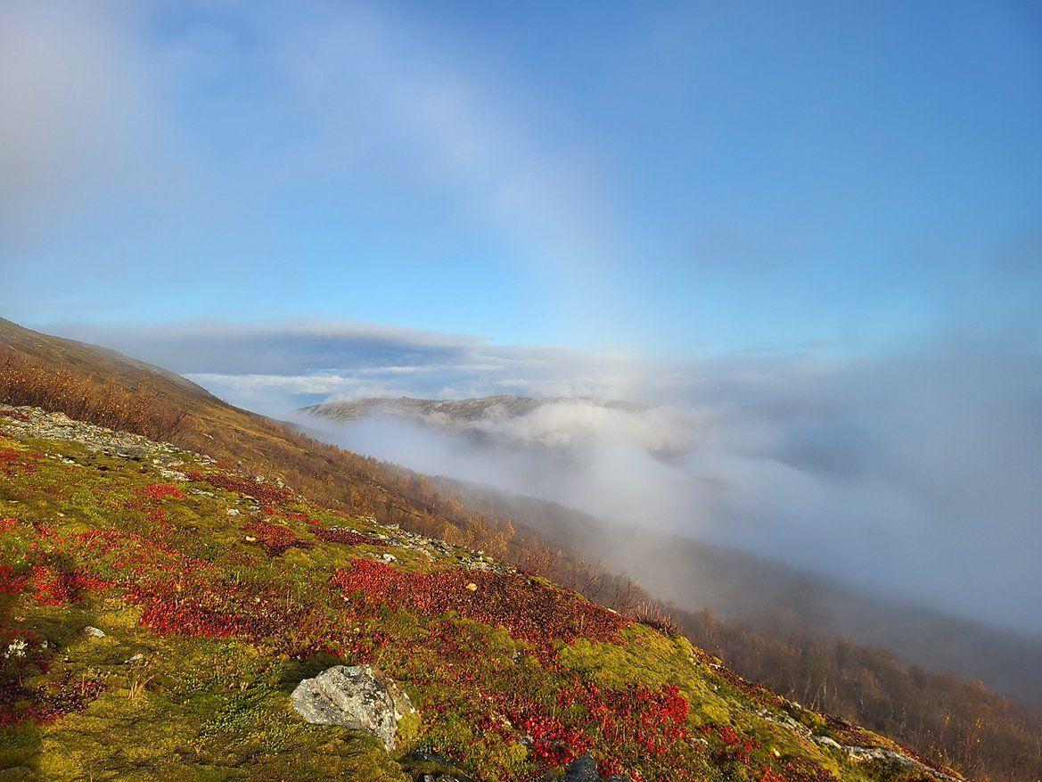 Fjellandskap med tåke og fargerike høstplanter under en klar blå himmel.