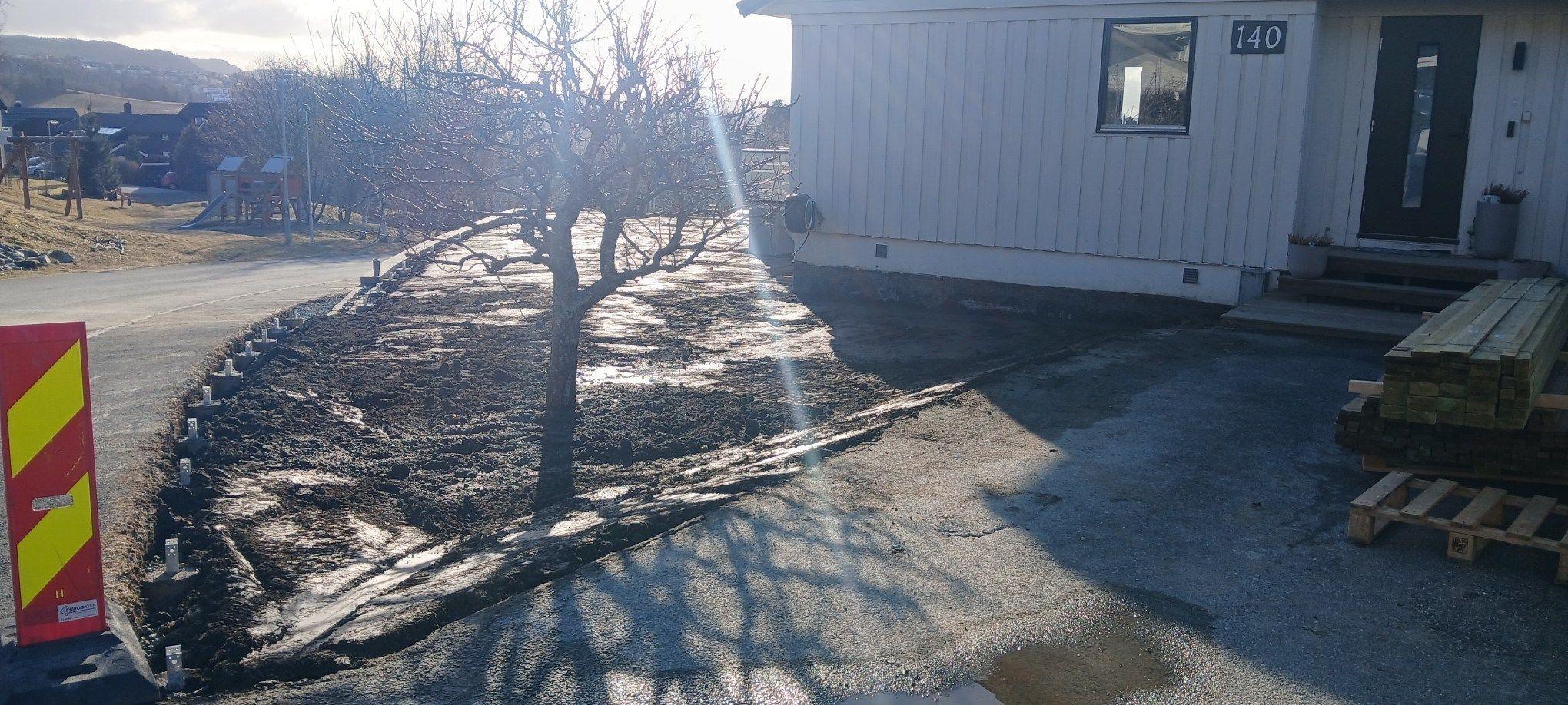 Hus med ny asfaltoppkjørsel, tre i hagen og sollys som skinner på området.