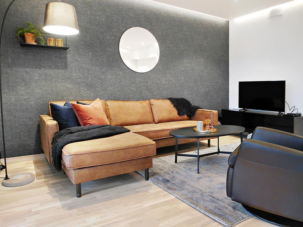 Moderne stue med en brun sofa, svart teppe, bordlampe og TV, samt dekorative planter på hyllen.